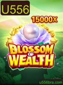 Desvendando o Universo do Jogo BlossomofWealth: Regras e Dinâmica
