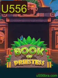 Descubra o Fascinante Mundo de BookOfPriestess